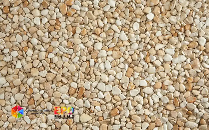 Sơn Sỏi Polymer Là Gì? Quy Trình Thi Công 6 Bước Chi Tiết & Ứng Dụng